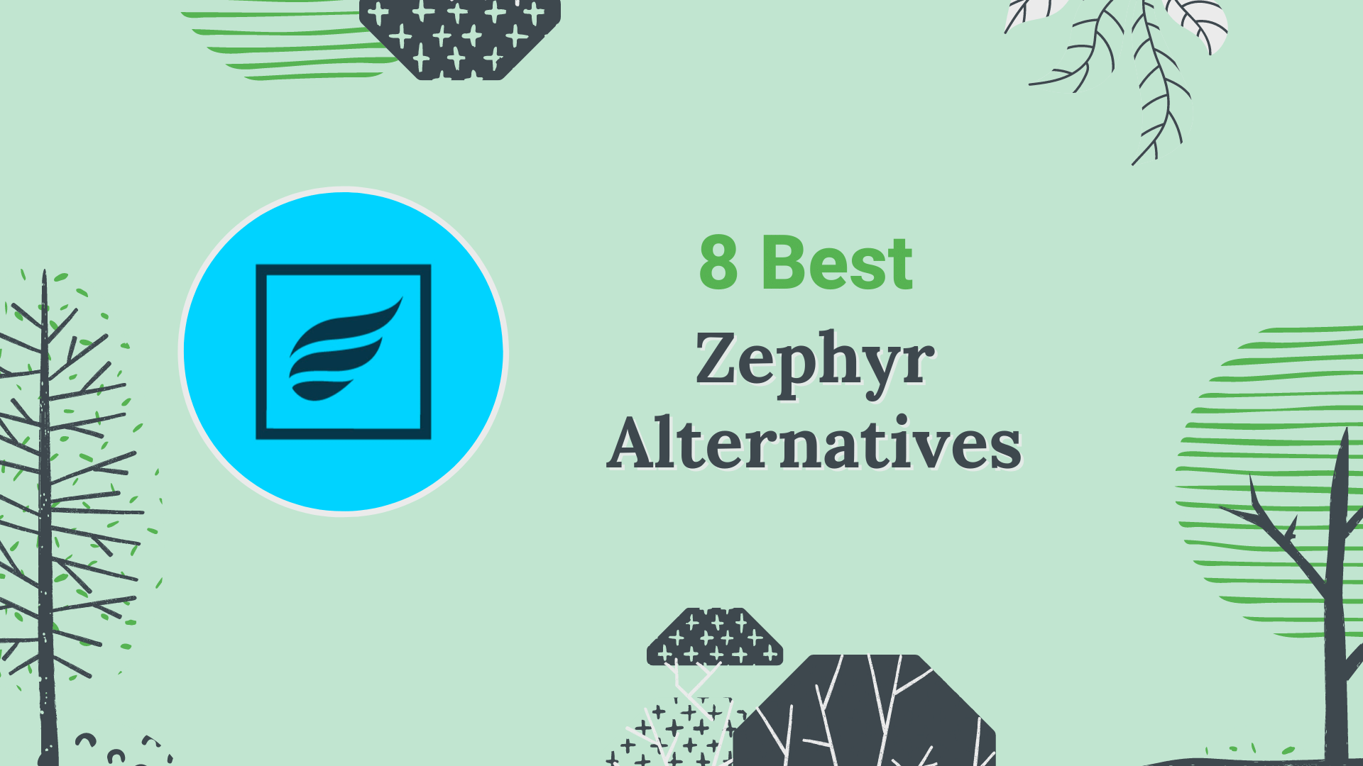 Which Zephyr Test Management Tool Is Right for Me?