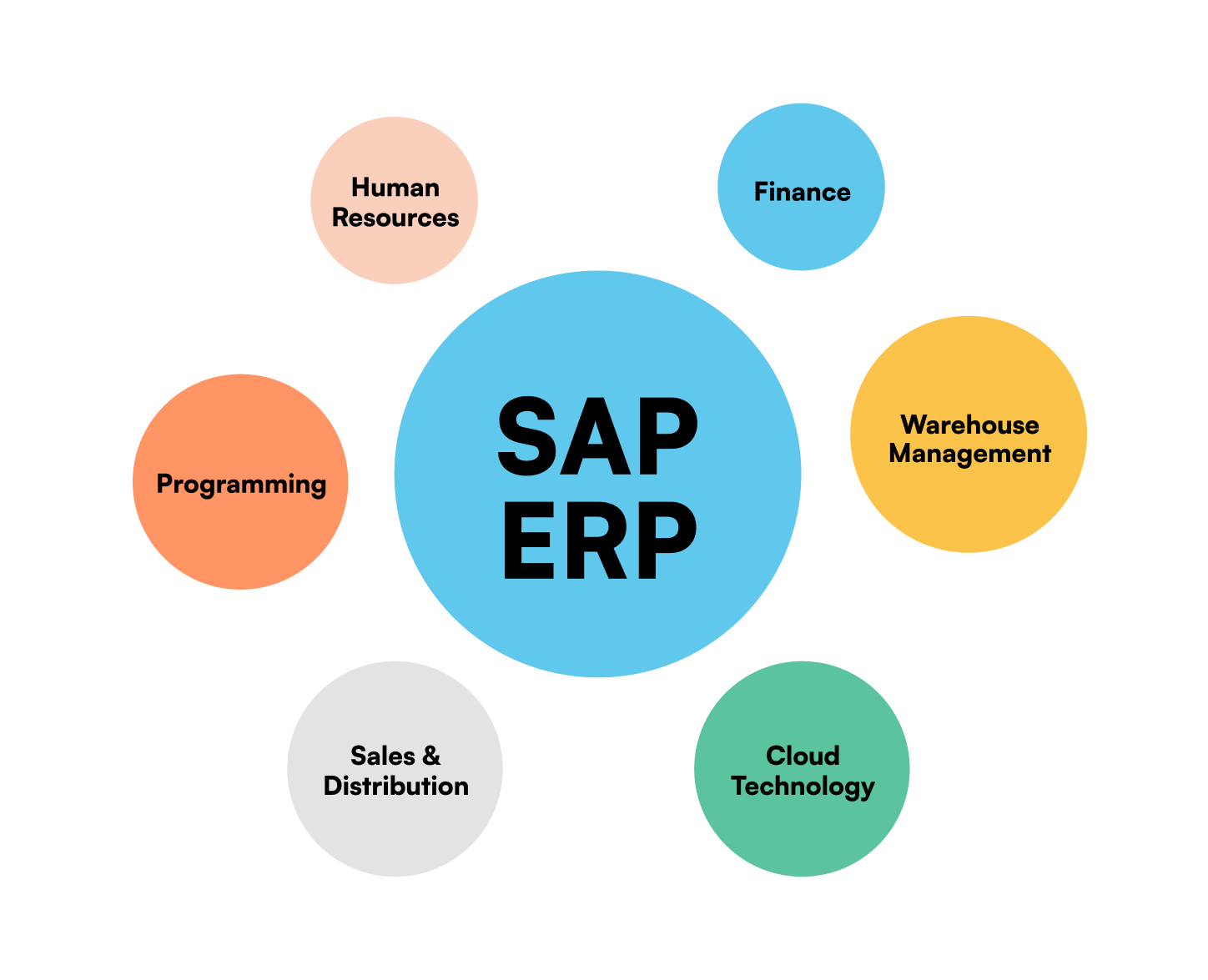 SAP ERP