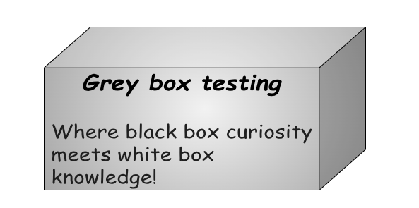 Grey Box Testing 