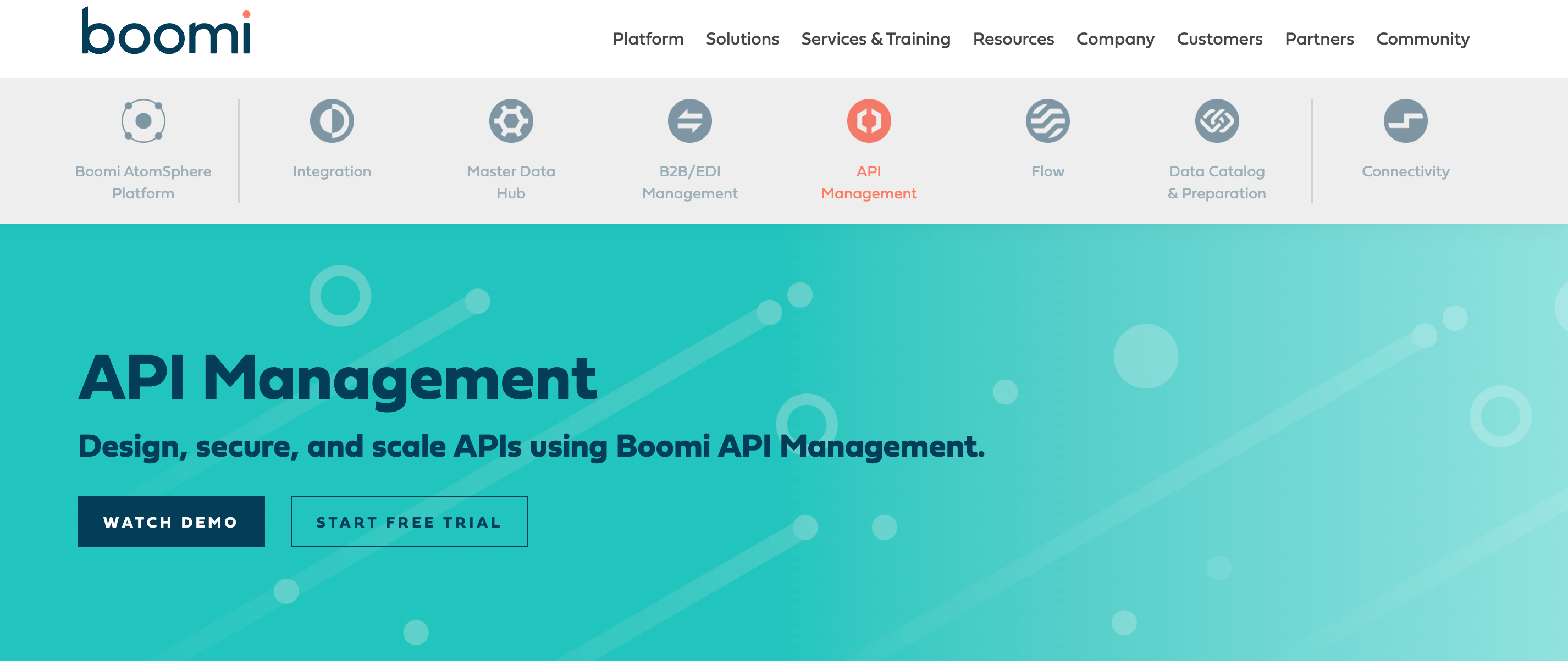 boomi website image